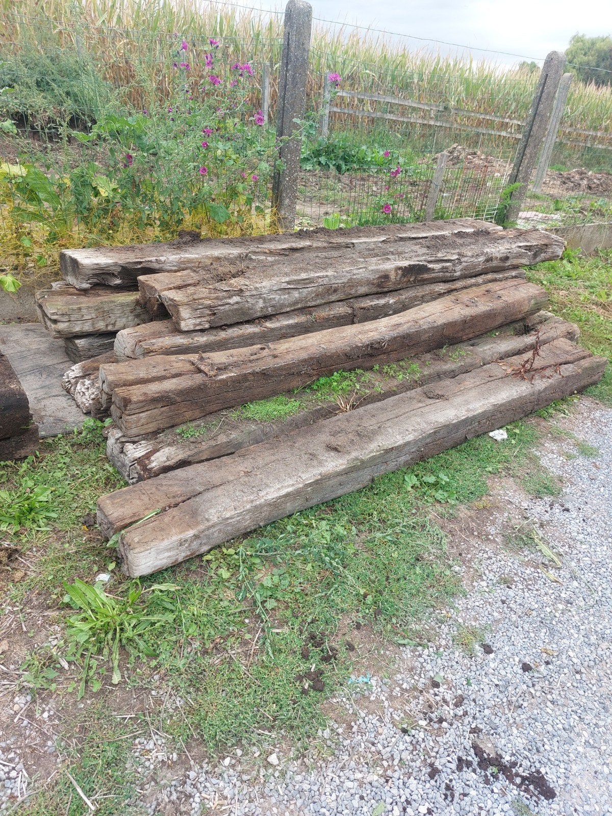 Gratis oude treinbielzen, Tuin en Terras, Ophalen, Gebruikt