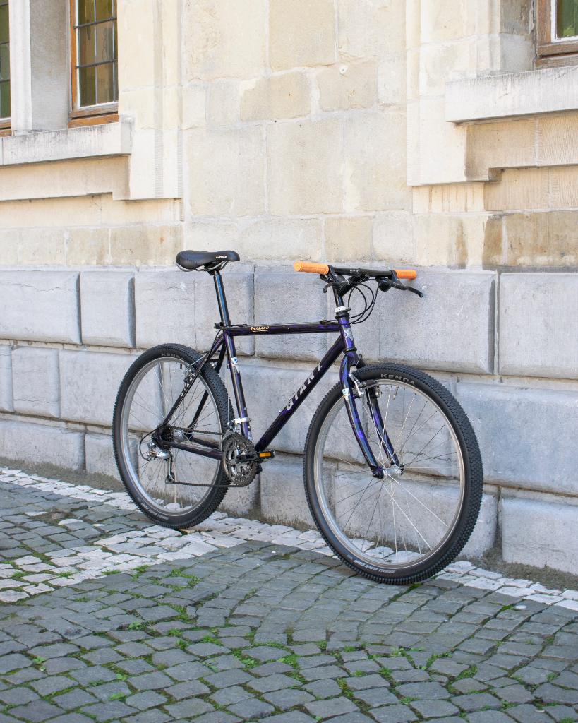 1994 Giant Terrago – Retro mountainbike ‍️, Fietsen en Brommers, Ophalen, 49 tot 53 cm, Giant, Zo goed als nieuw