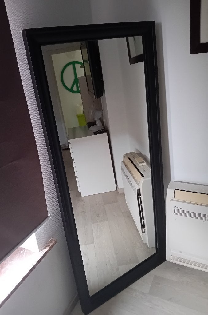 Spiegel, Huis en Inrichting, Woonaccessoires | Spiegels, Ophalen, Zo goed als nieuw, 50 tot 75 cm, 150 tot 200 cm