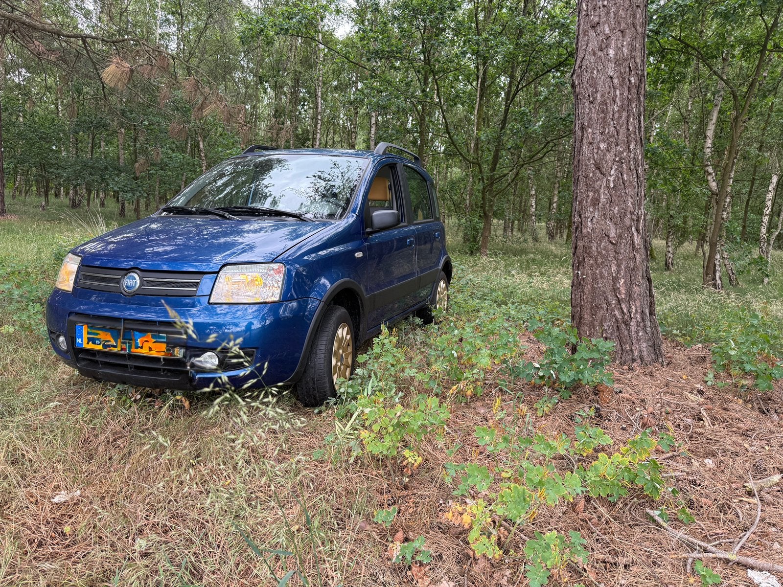 FIAT PANDA 4x4  2005, Auto's, Fiat, 4 zetels, Stof, Blauw, 1055 kg