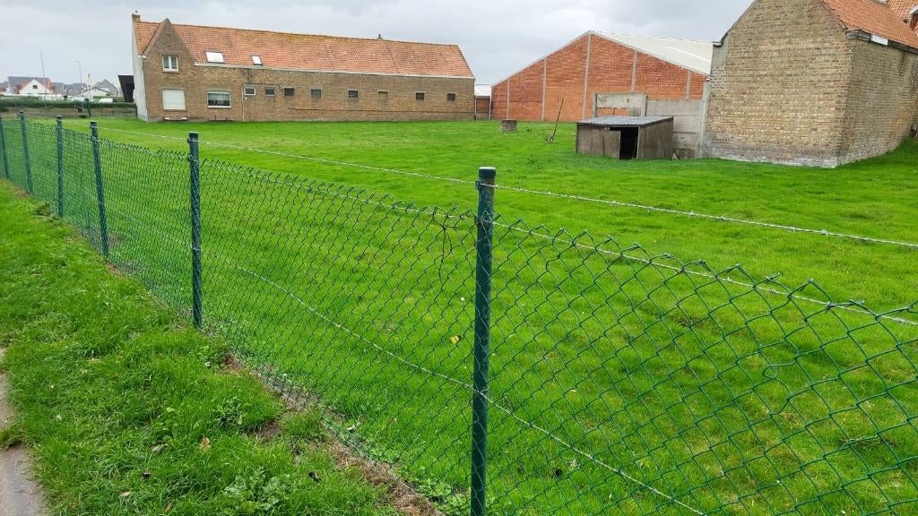 Weide te huur in Middelkerke, Dieren en Toebehoren