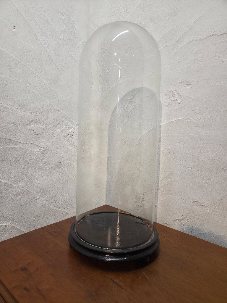 Antieke stolp/globe, Ophalen of Verzenden