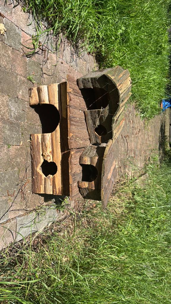 Huisjes cavia, Ophalen, Gebruikt