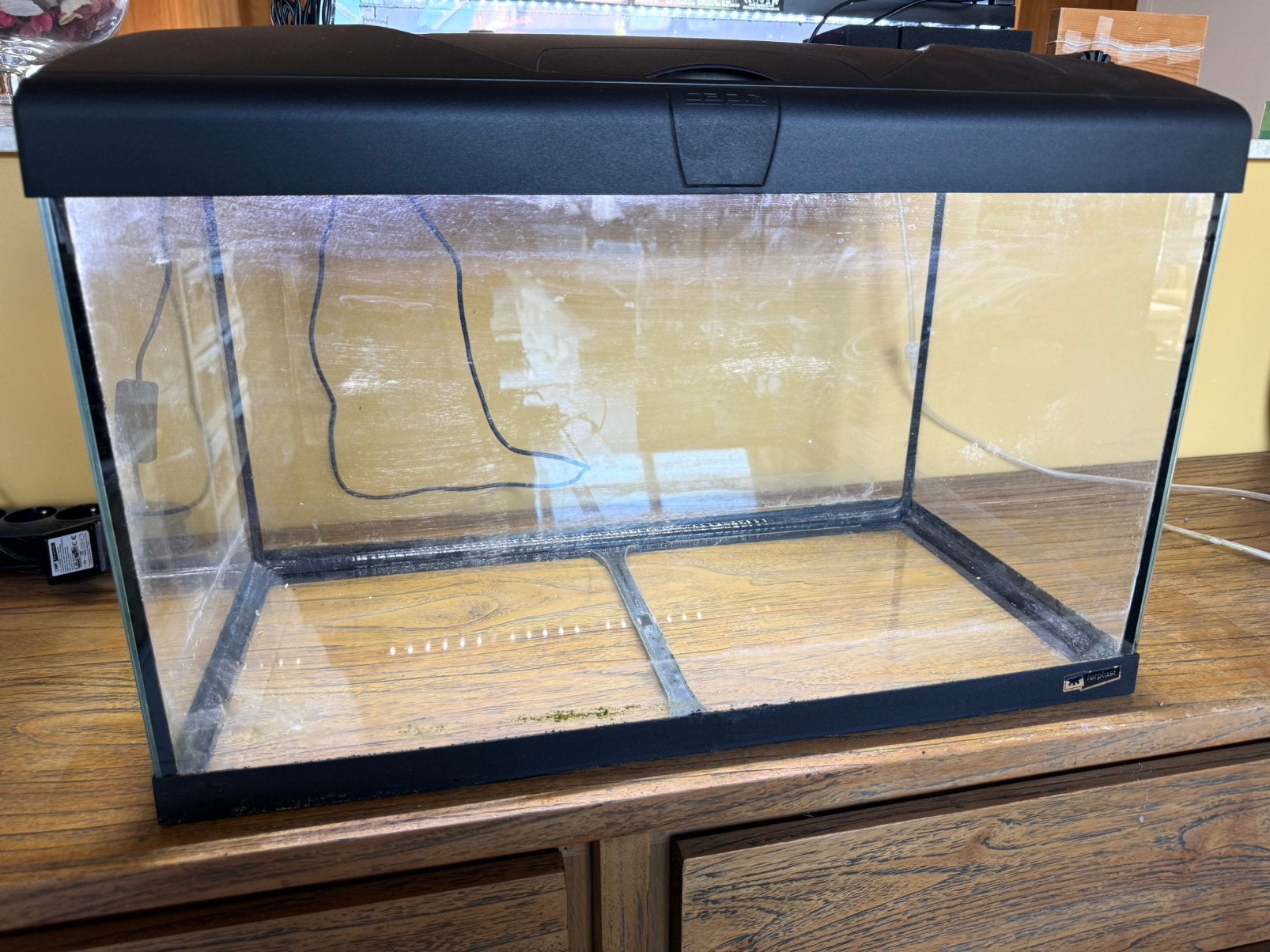 Aquarium Ferplast Capri 60, Ophalen, Gebruikt, Overige merken, Inclusief deksel