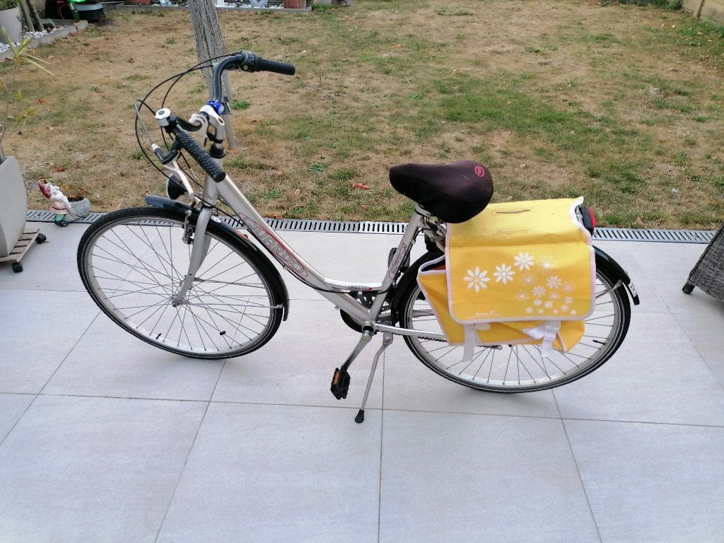 damesfiets, Fietsen en Brommers, Ophalen, Gebruikt, Velgrem, (Extra) lage instap