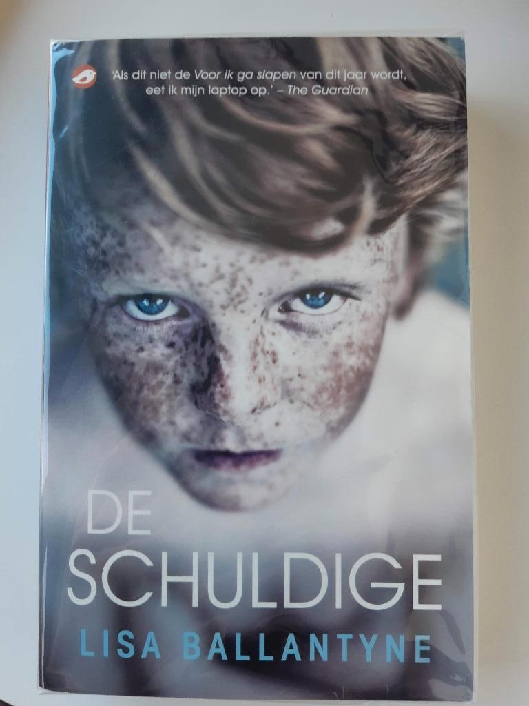 Lisa Ballantyne - De Schuldige, Ophalen, Zo goed als nieuw