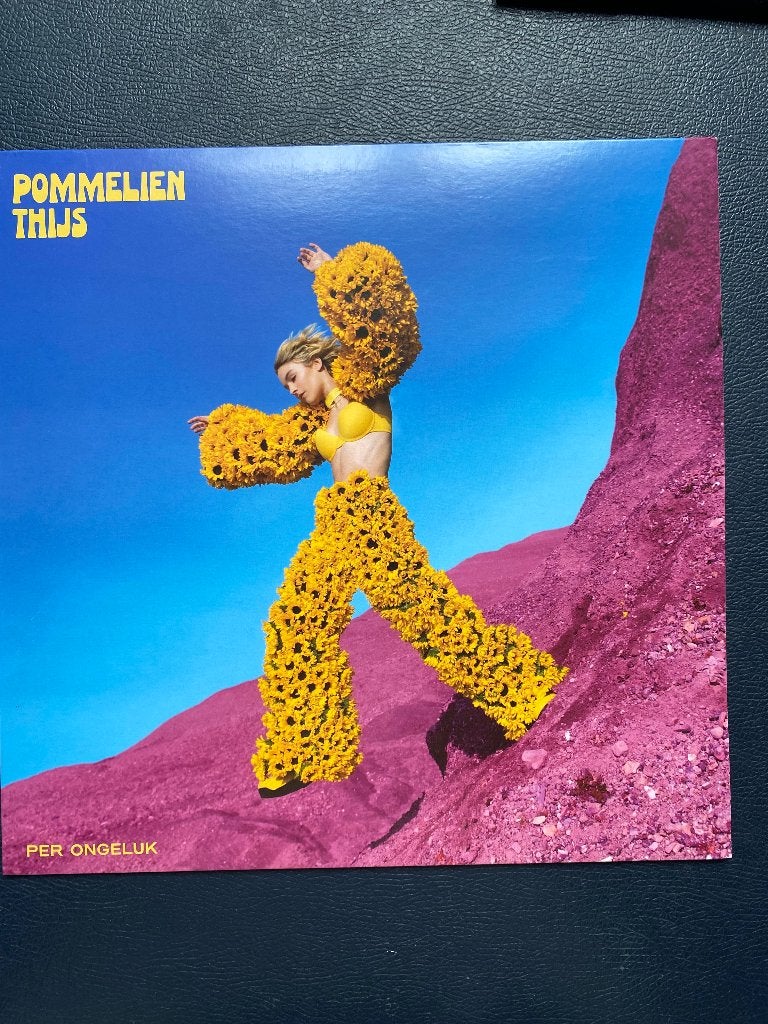 Vinylplaat, Ophalen, Zo goed als nieuw, Pop