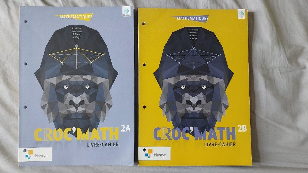 Croc'math livre cahier 2A et 2B - vendus ensemble, Livres, Livres scolaires, Comme neuf, Mathématiques A, Enseignement secondaire inférieur