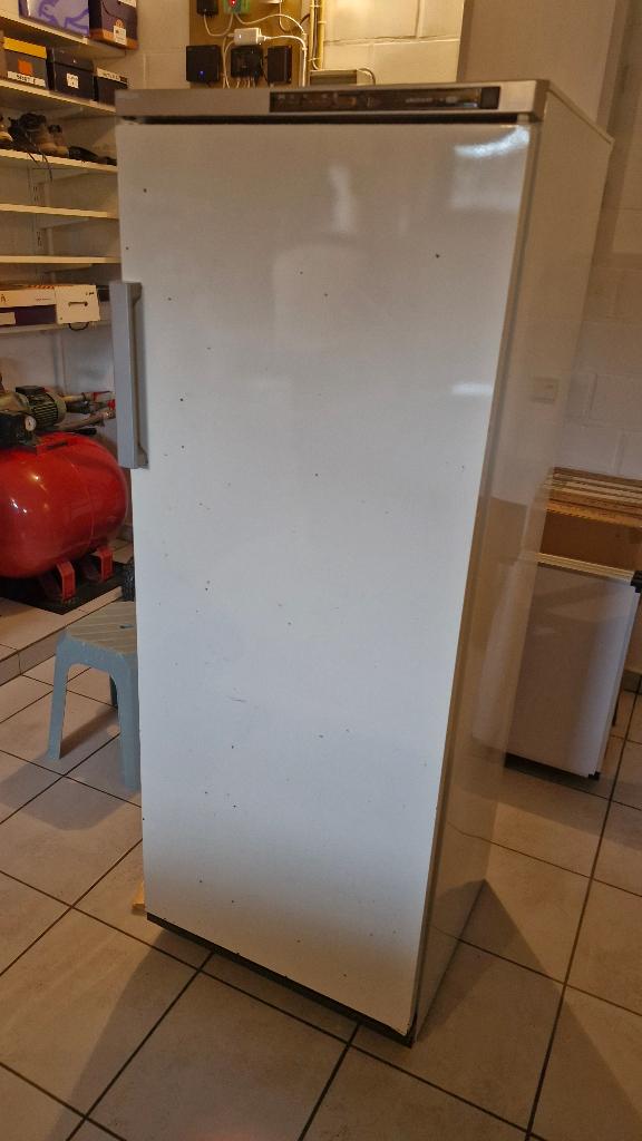 congélateur, Electroménager, Congélateur, 160 cm ou plus, Enlèvement, Utilisé