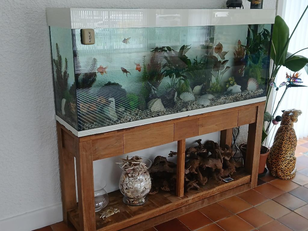 Aquarium, Dieren en Toebehoren, Ophalen, Inclusief vissen, Gevuld zoetwateraquarium, Overige merken