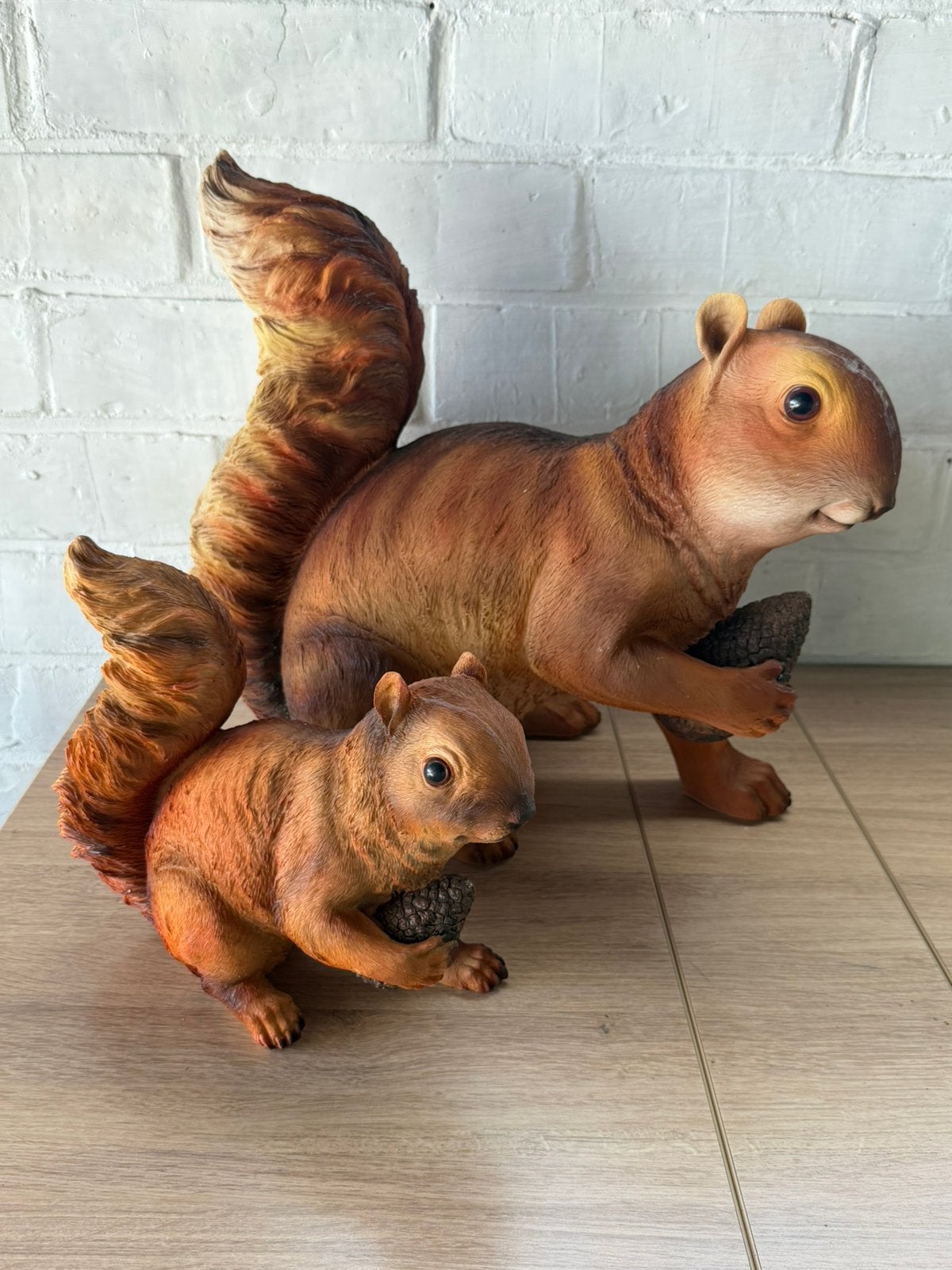 Deux écureuils 60€, Enlèvement, Neuf, Animal