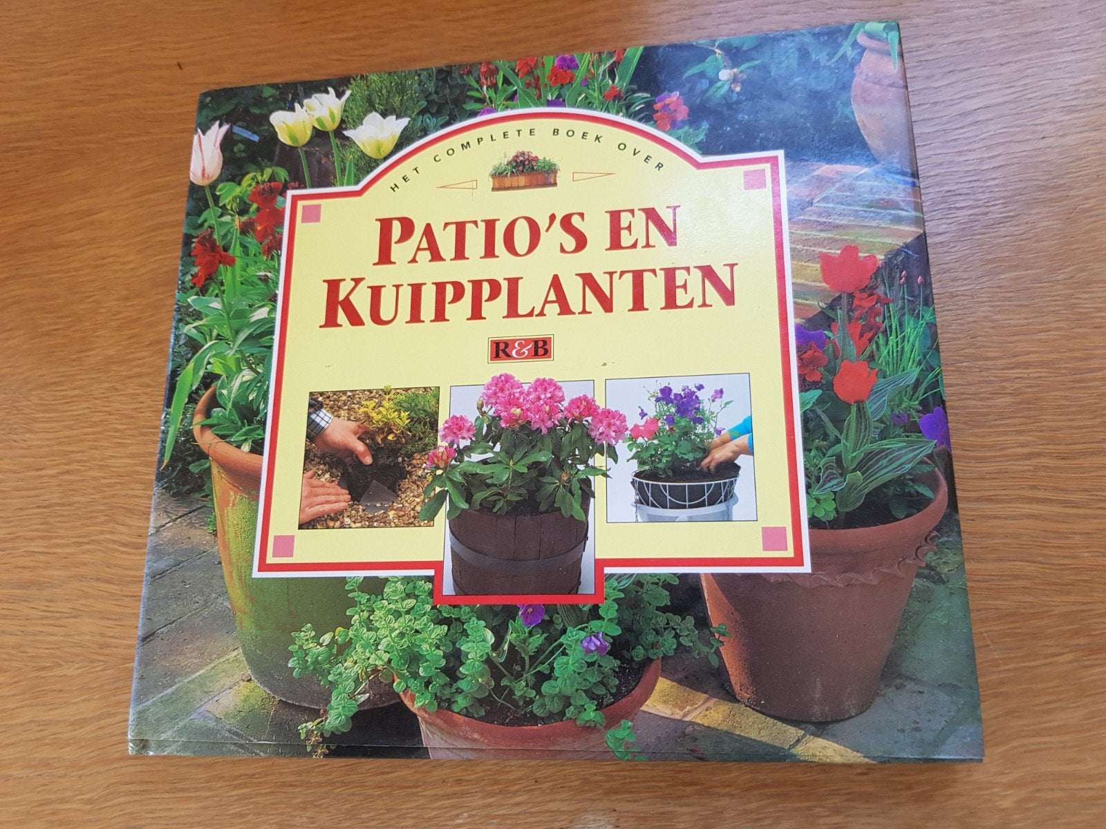 prachtig boek:  Patio's & kuipplanten, Ophalen of Verzenden, Zo goed als nieuw, Tuinieren en Tuinplanten