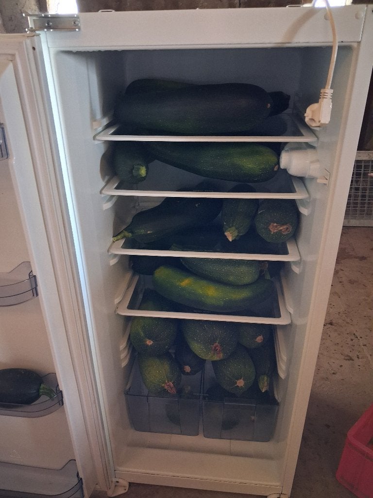 Verse courgettes, Ophalen
