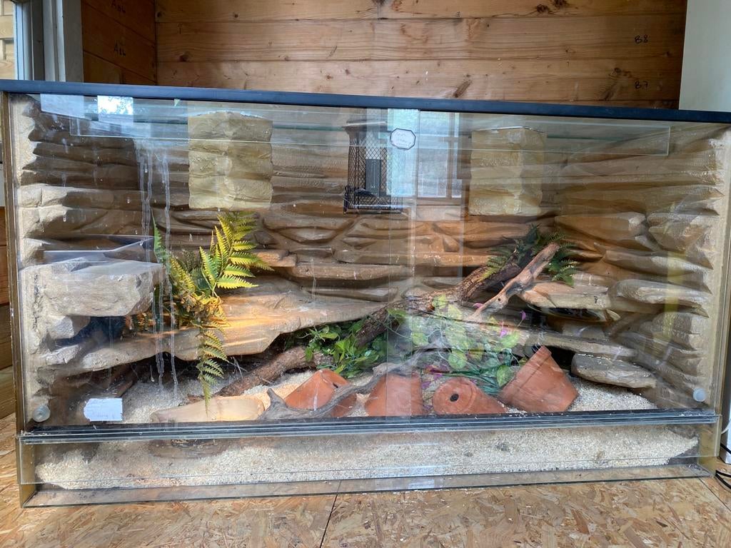 Terrarium met inrichting en achterwand, Dieren en Toebehoren, Ophalen, Zo goed als nieuw, Terrarium of Paludarium