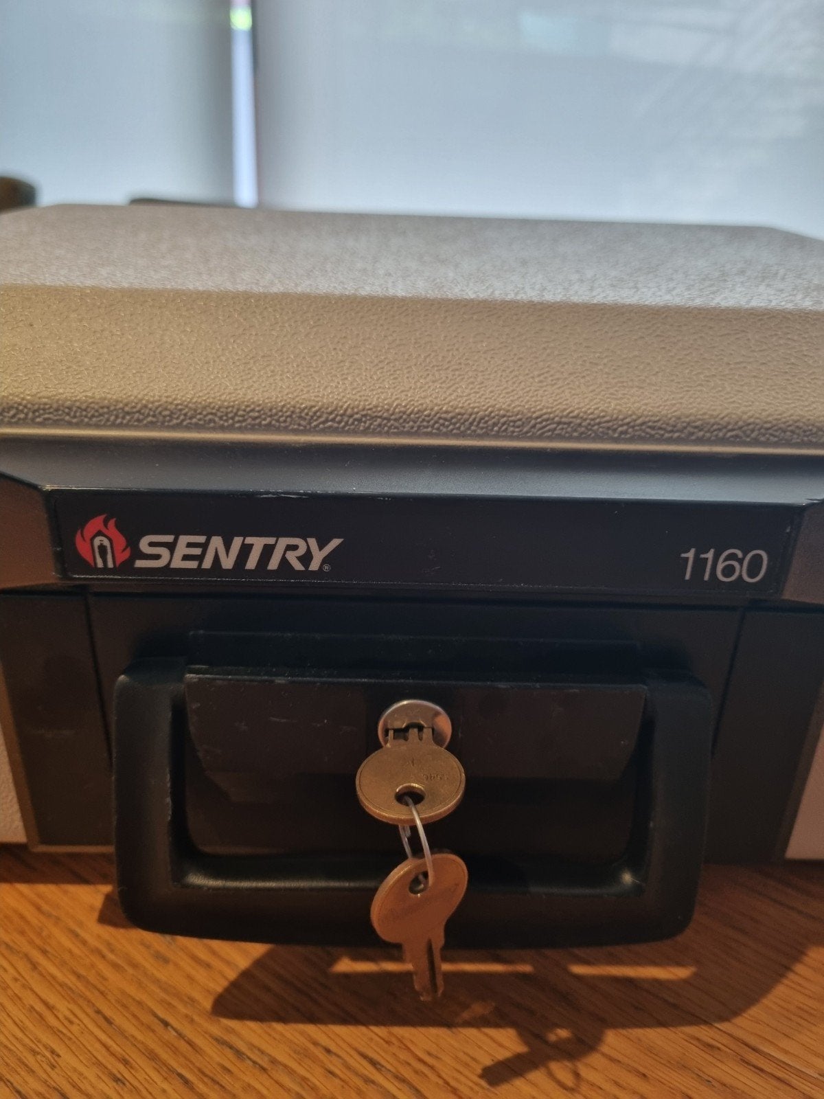 Brandkoffer Sentry 1100, Huis en Inrichting, Ophalen
