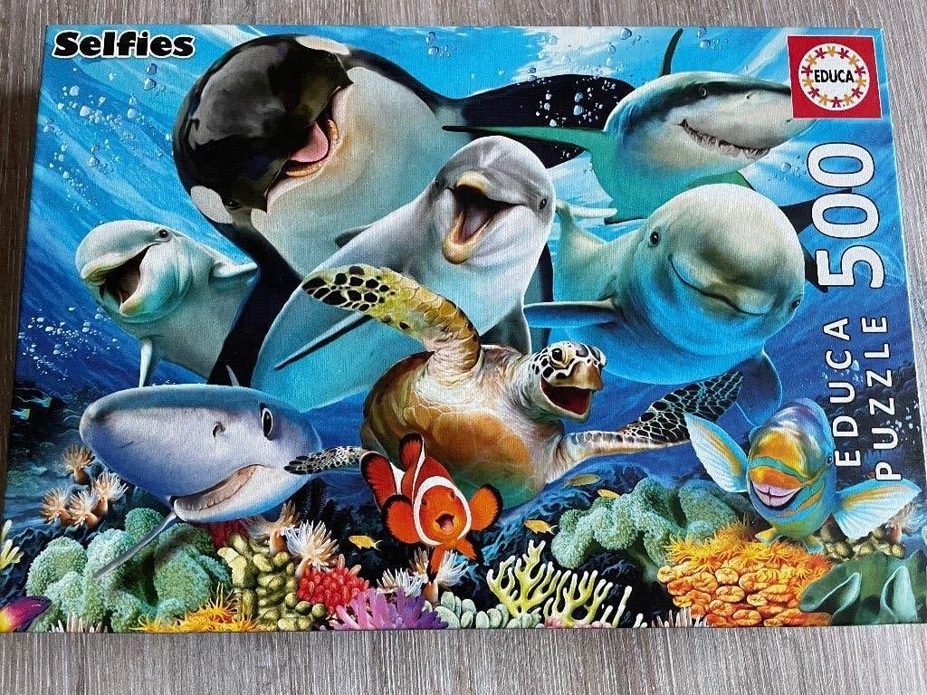Puzzel van Educa., Hobby en Vrije tijd, Ophalen, 500 t/m 1500 stukjes, Zo goed als nieuw, Legpuzzel