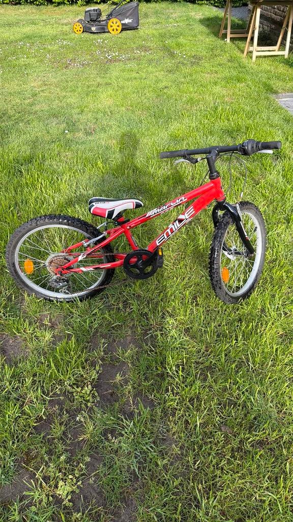 Mooie marlin adam mountainbike moet nu weg, Ophalen, Gebruikt, Staal, Velgrem