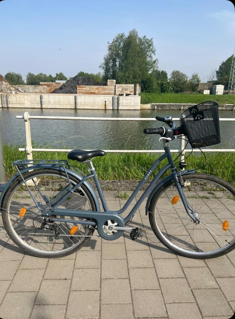 Stadsfiets dames grijs + voormand – zeer goede staat, Fietsen en Brommers, Velgrem, Versnellingen, Zo goed als nieuw, Ophalen