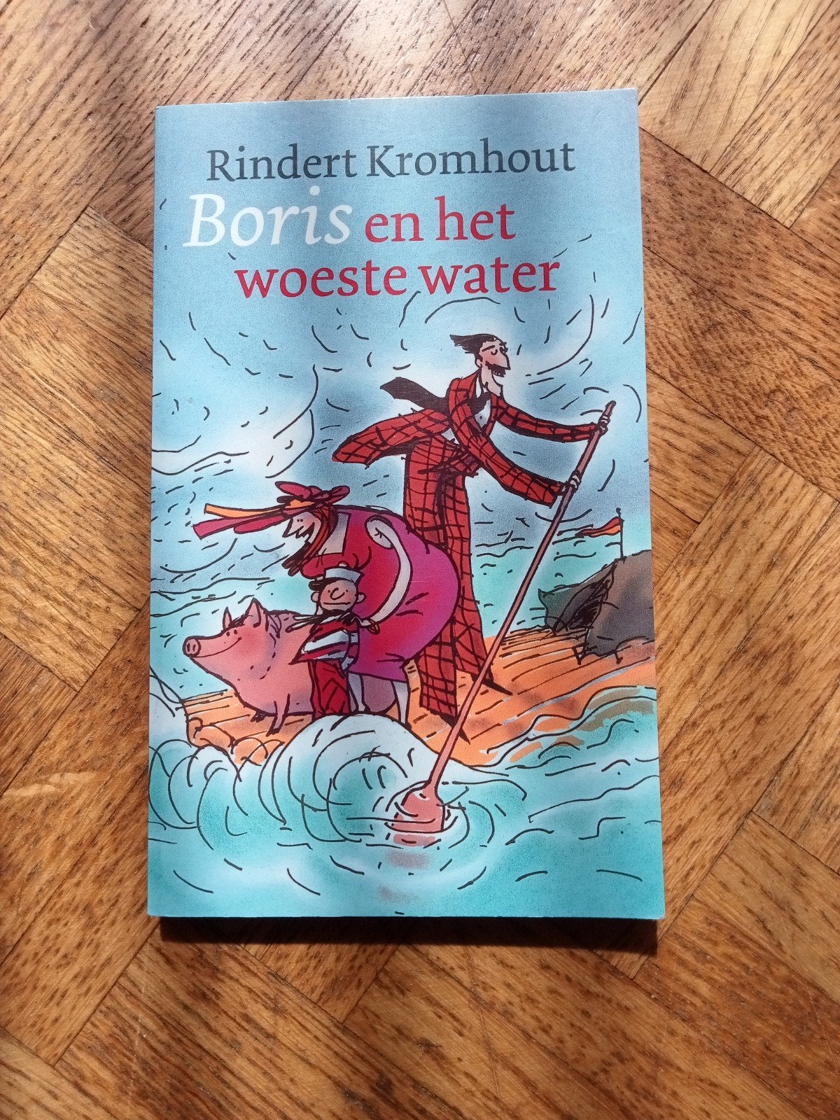 Rindert Kromhout: Boris en het woeste water, Enlèvement ou Envoi, Utilisé