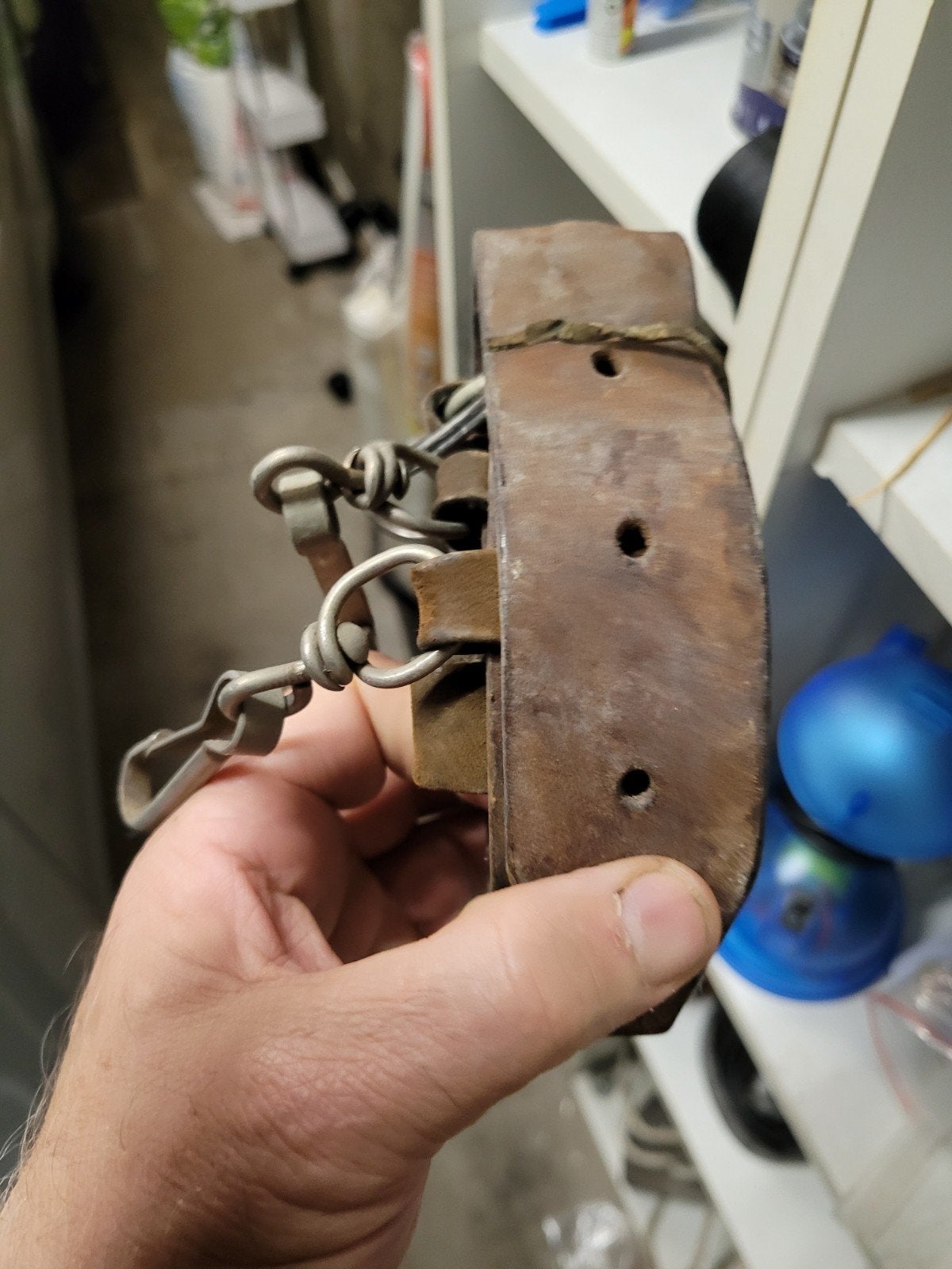 ceinturon en cuire avec plusieurs attache, Collections, Enlèvement