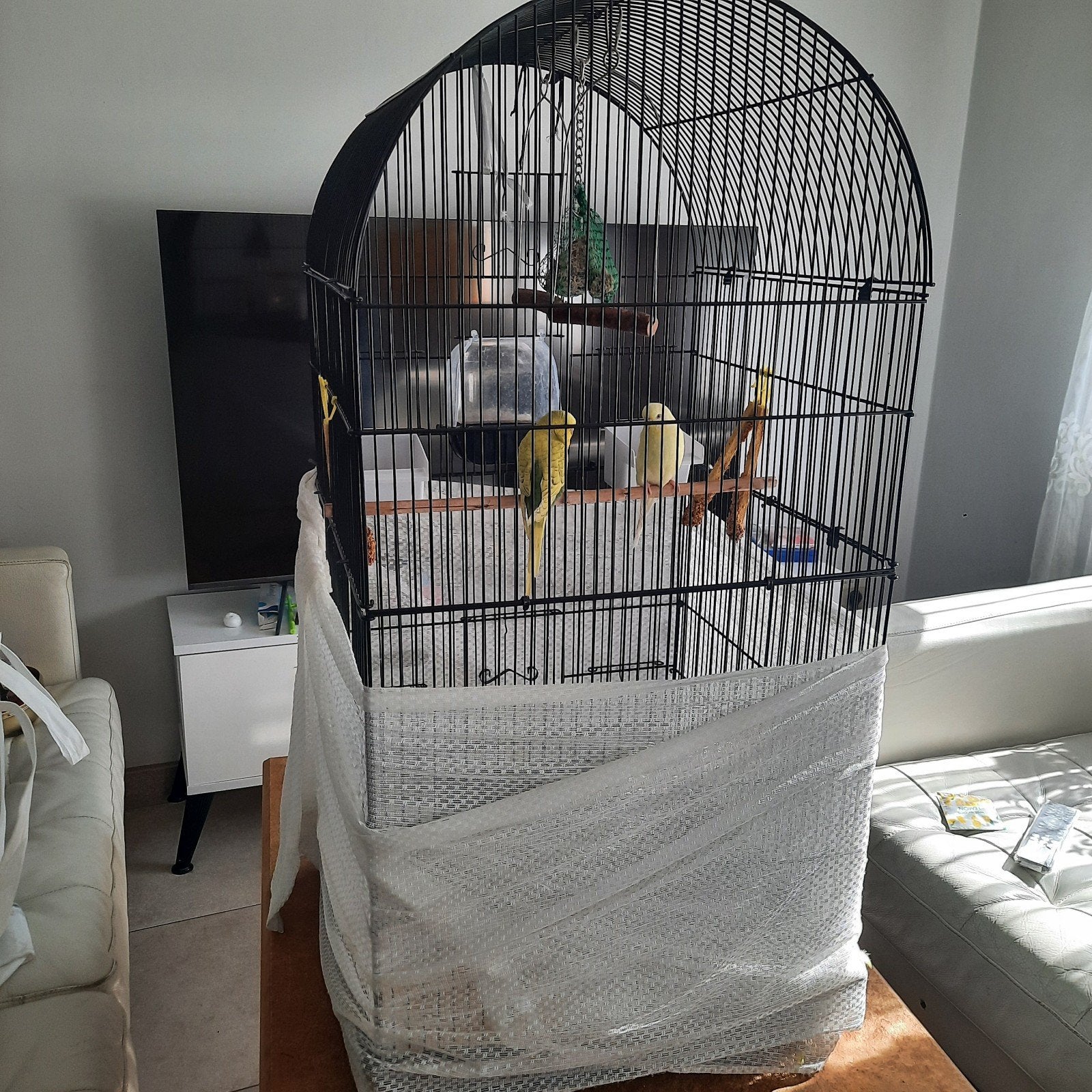 Vogelkooi + 2 vogels