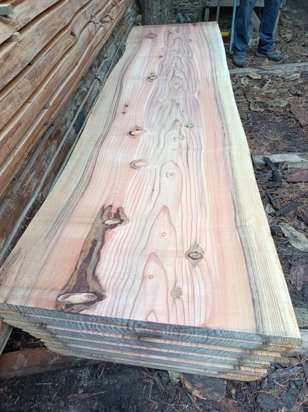 Unieke  Sequoiadendron giganteum boomstamplanken, Enlèvement, Planches