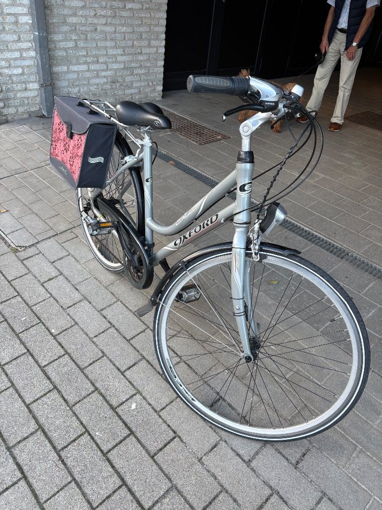 Kleine dames fiets, (Extra) lage instap, Zo goed als nieuw, Minder dan 47 cm, Ophalen