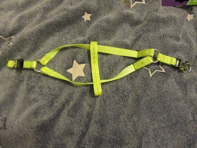 geel hondenharnas - harnas voor kleine hond - puppy - nieuw, Dieren en Toebehoren, Ophalen of Verzenden, Nieuw, Halsband