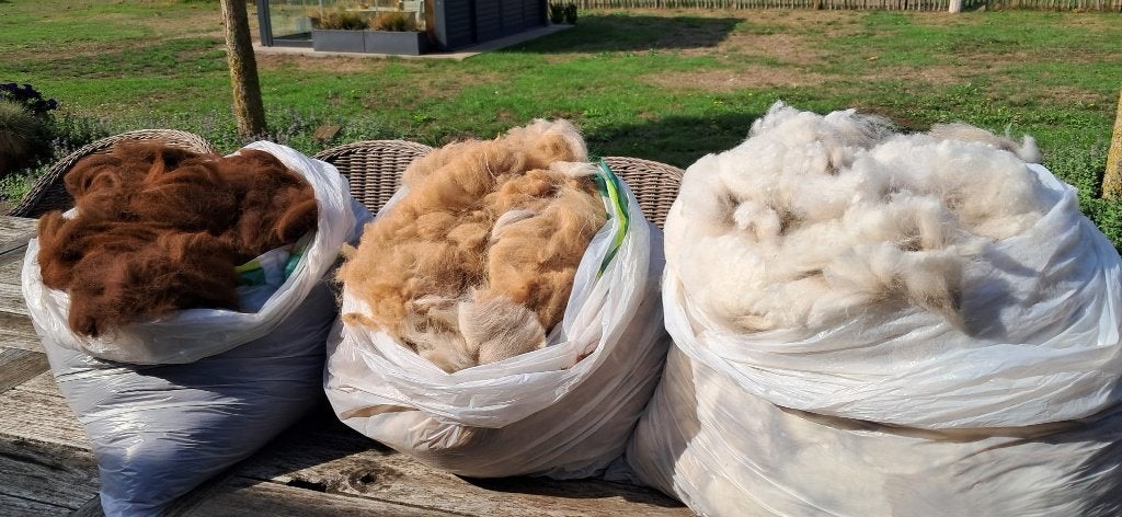 Alpacawol, Hobby en Vrije tijd, Ophalen, Nieuw
