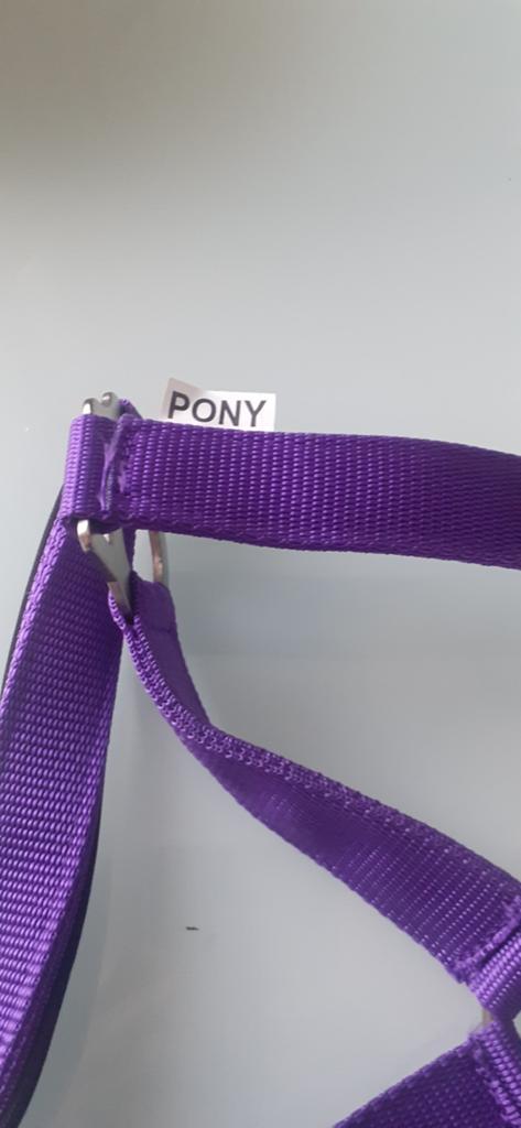 Halster pony nieuw, Dieren en Toebehoren, Ophalen