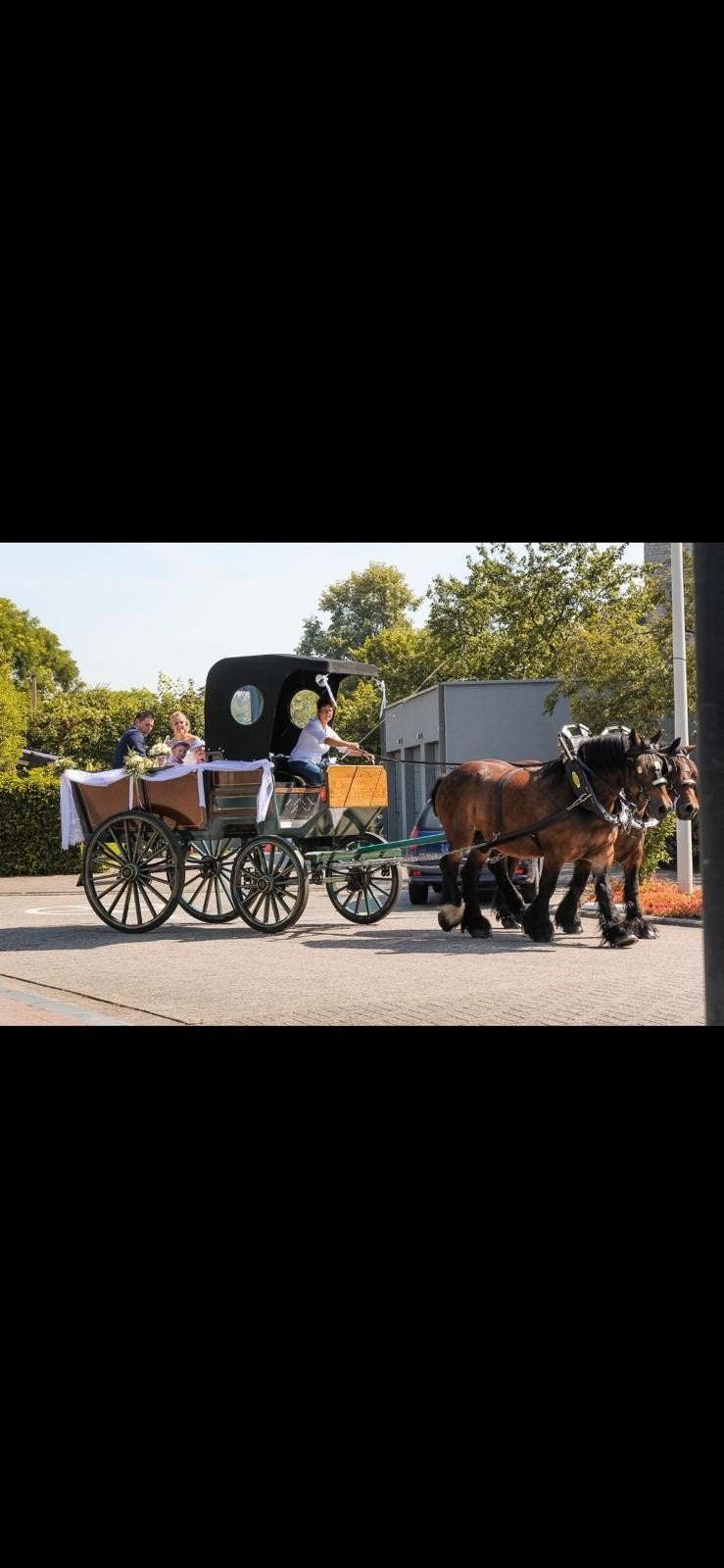 koets te koop / trouwkoets., Zo goed als nieuw, Overige typen, Paard