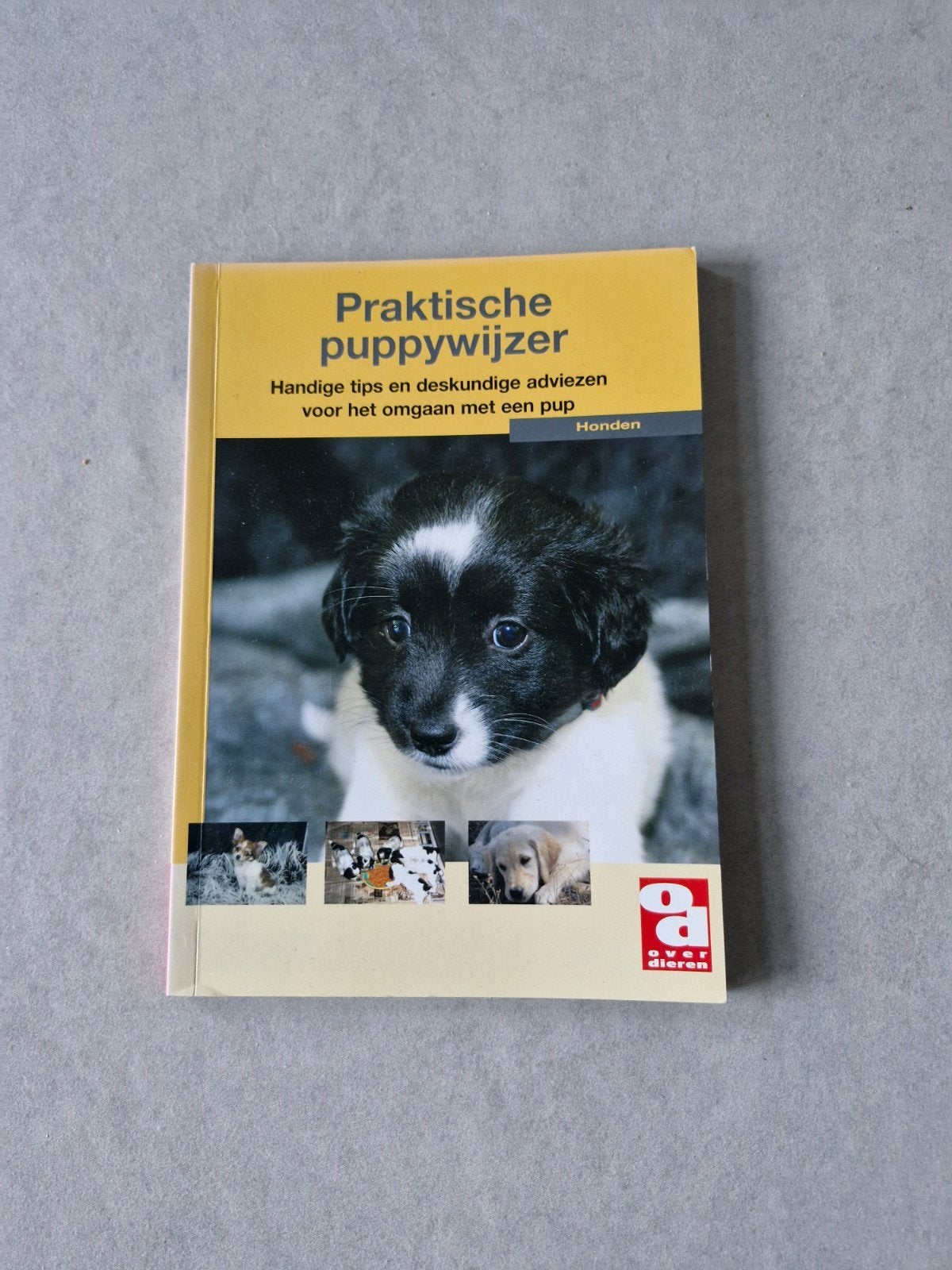 Praktische puppywijzer, Ophalen of Verzenden, Honden