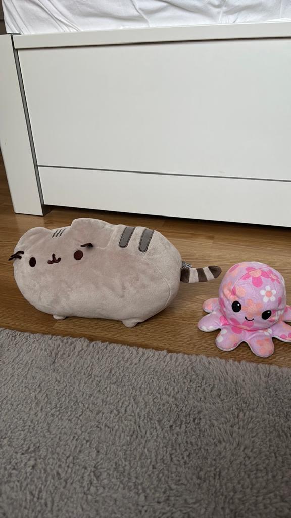 Knuffels (kat en omkeerbare octopus), Ophalen, Gebruikt, Kat