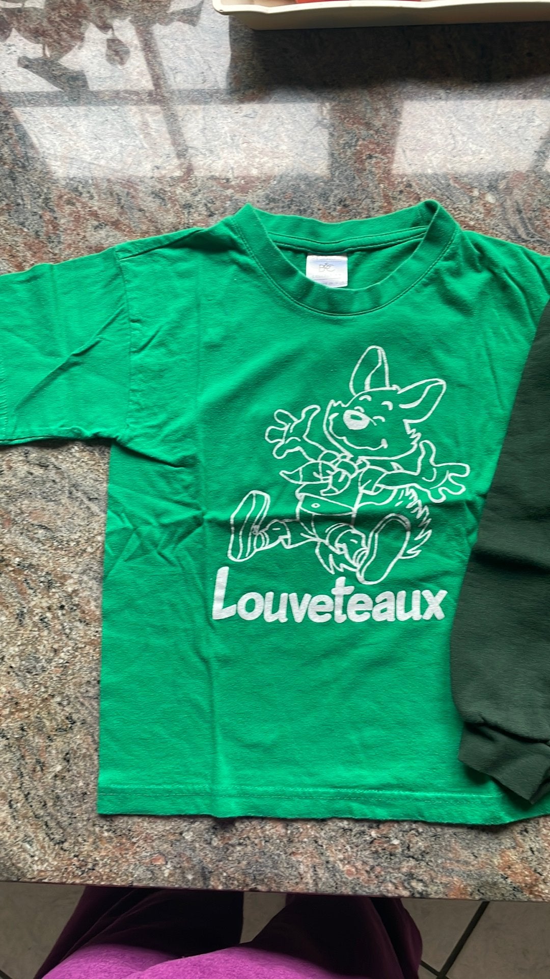 Tee-shirt et pull louveteaux Scoute, Enlèvement ou Envoi, Utilisé, Autres types, Vert