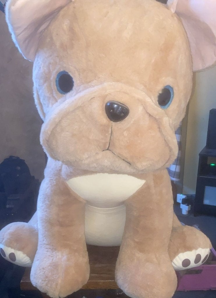 Teddybeer (hond) French Bulldog, Verzamelen, Beren en Cherished Teddies, Ophalen, Zo goed als nieuw, Stoffen beer, Overige merken