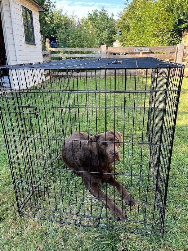 Honden bench 108 x 80 x 70 cm, Dieren en Toebehoren, Ophalen, Gebruikt