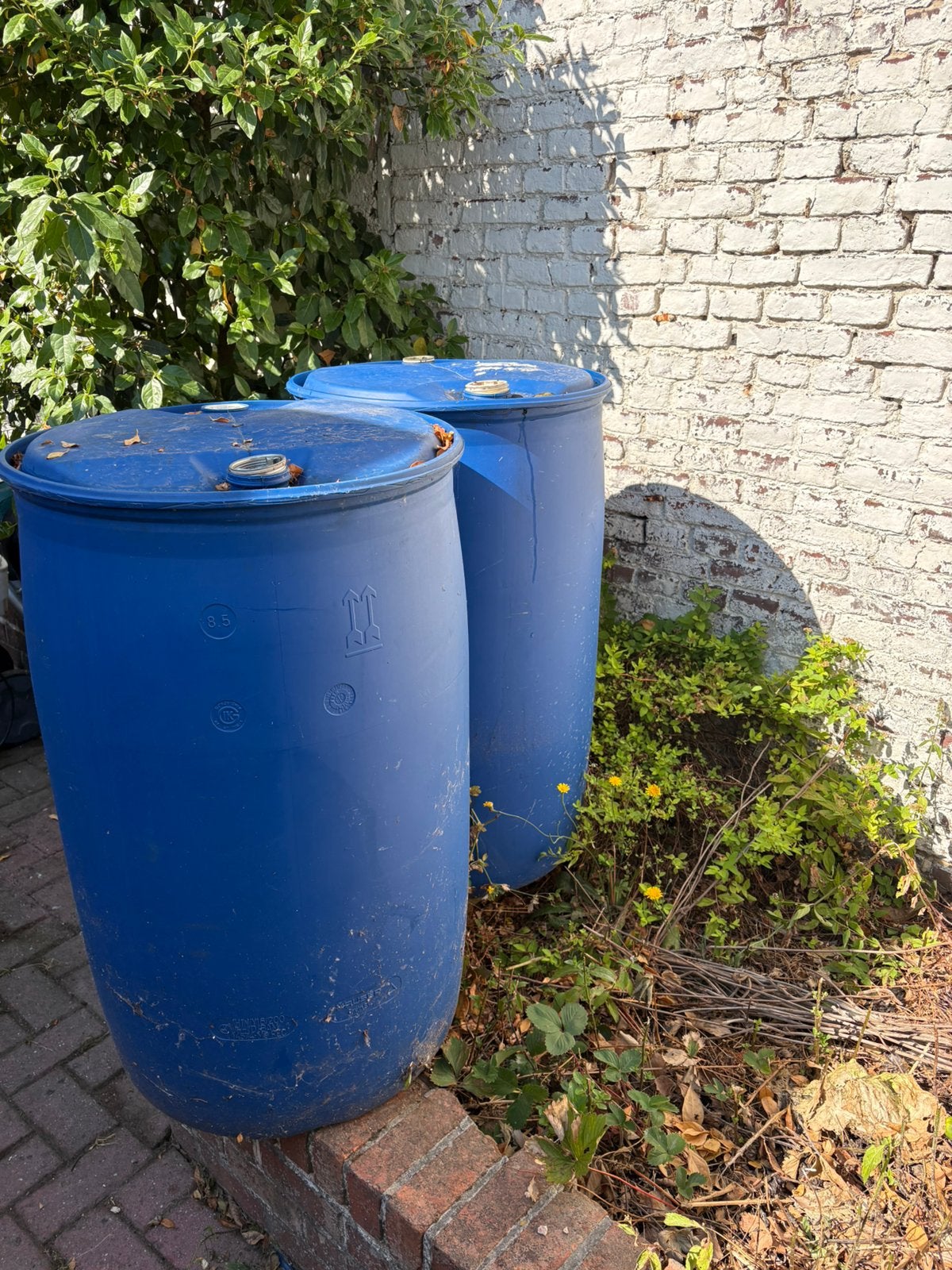 regen ton 200 L, Tuin en Terras, Regentonnen, 150 liter of meer, Ophalen, Nieuw, Kunststof