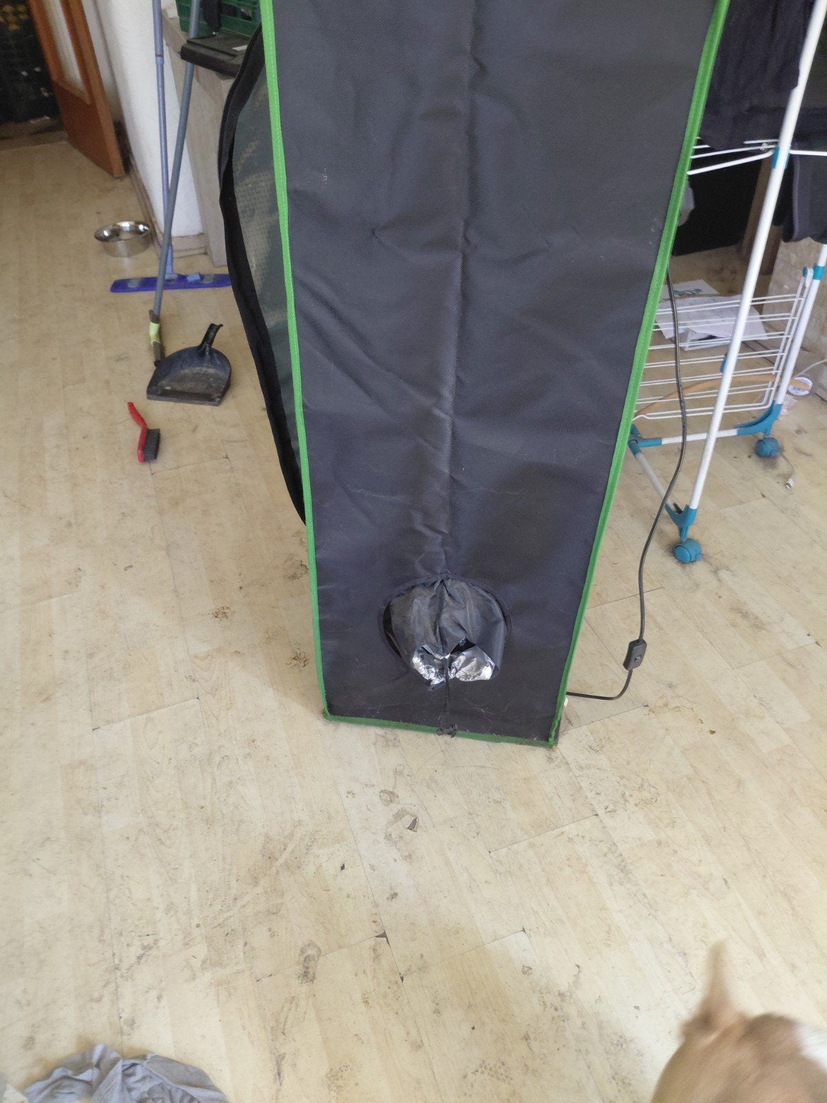 Complete kweekkast / growtent met LED-lamp, afzuiging en ven, Kleding | Heren, Ophalen