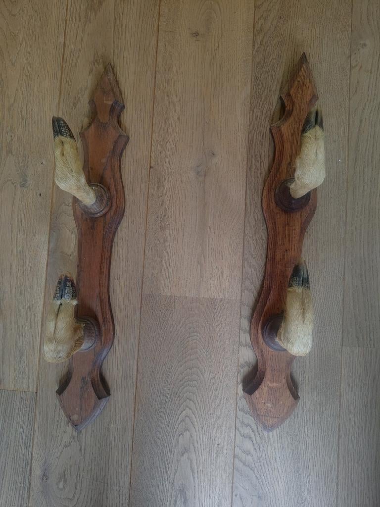 Porte carabine pattes de chevreuil, Enlèvement