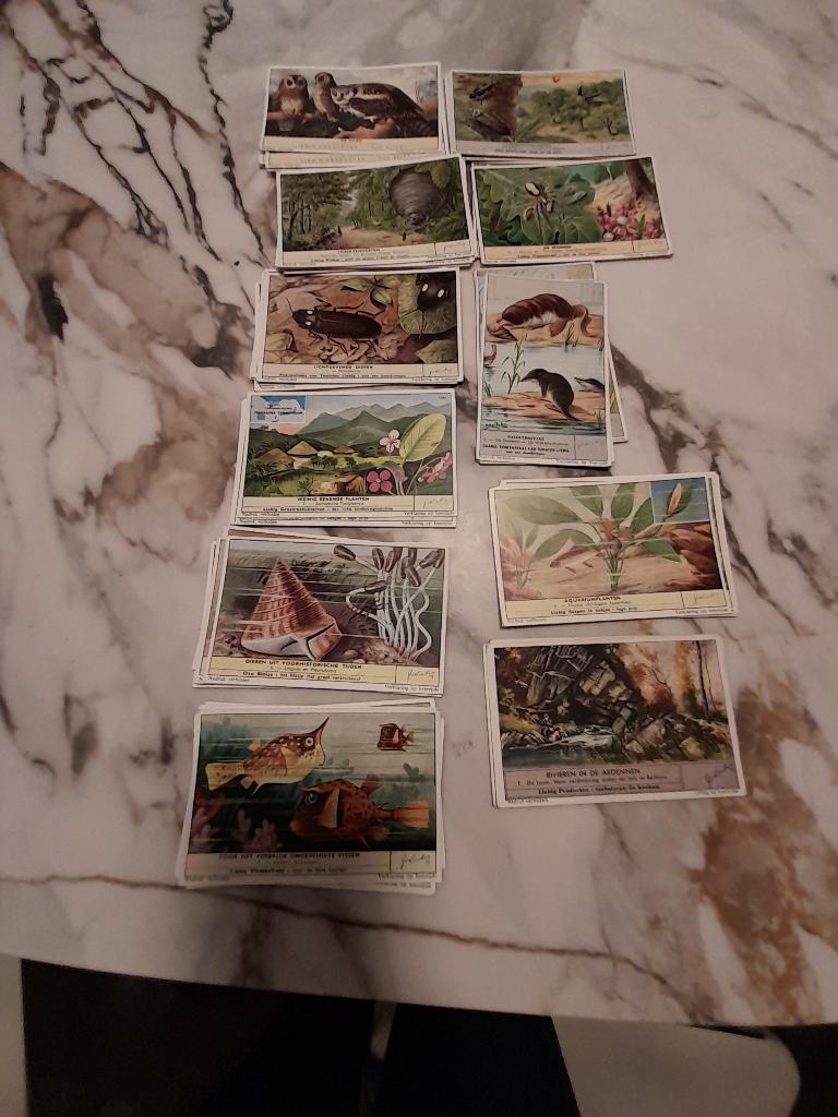 133 Liebig en Oxo prenten, Verzamelen, Ophalen of Verzenden, Gebruikt, Natuur