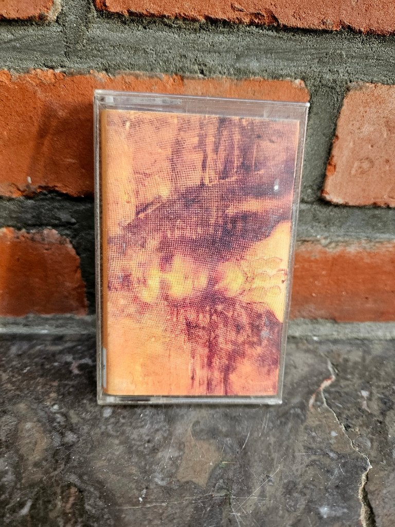 Nudeswirl – Nudeswirl cassette | alternative rock / grunge, Cd's en Dvd's, Cassettebandjes, Ophalen of Verzenden