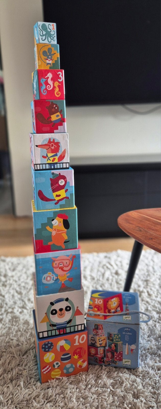 10 cubes DJECO