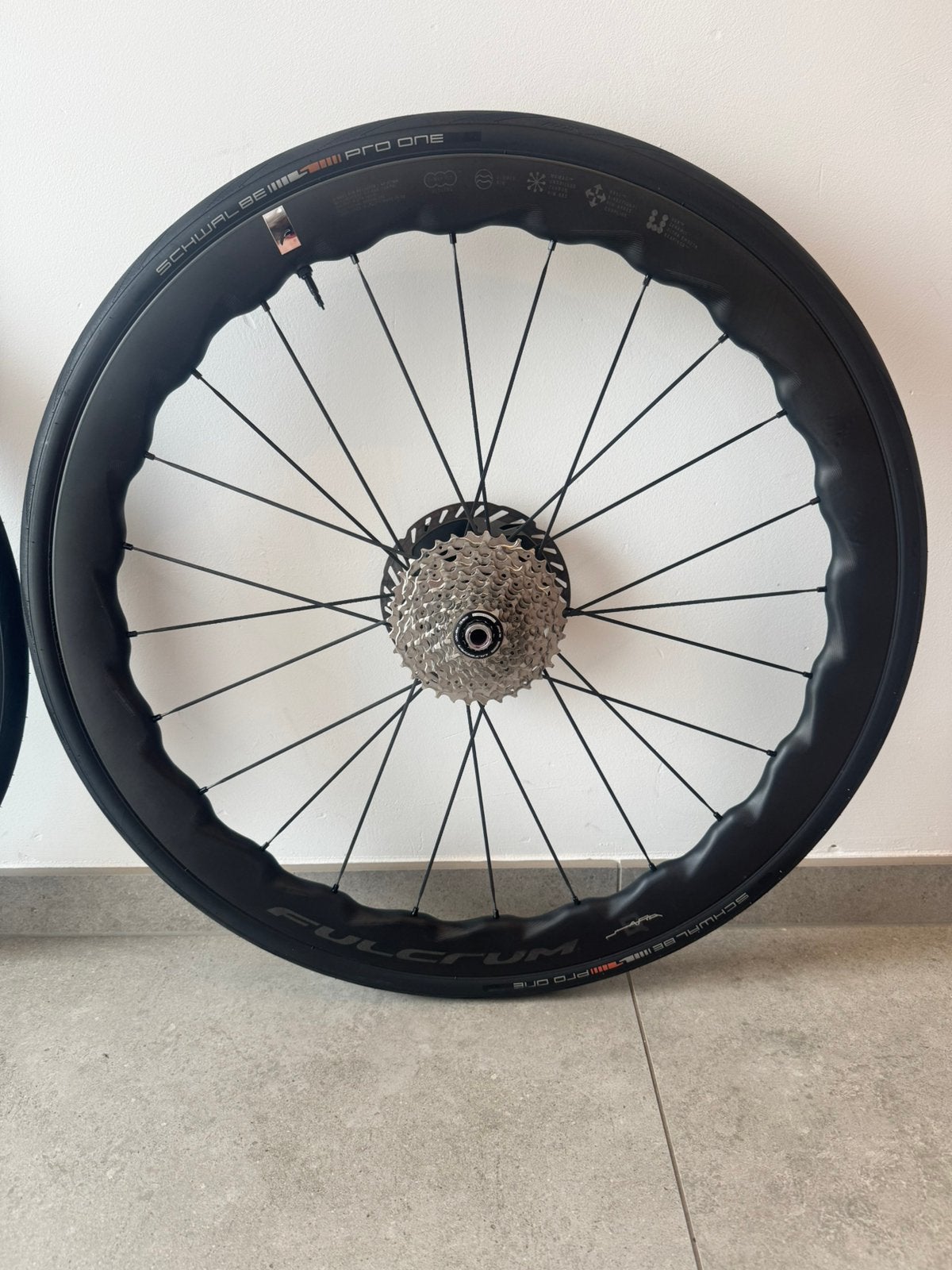 Fulcrum sharq 42 carbon wielset, Wiel, Gravelbike, Ophalen of Verzenden, Zo goed als nieuw