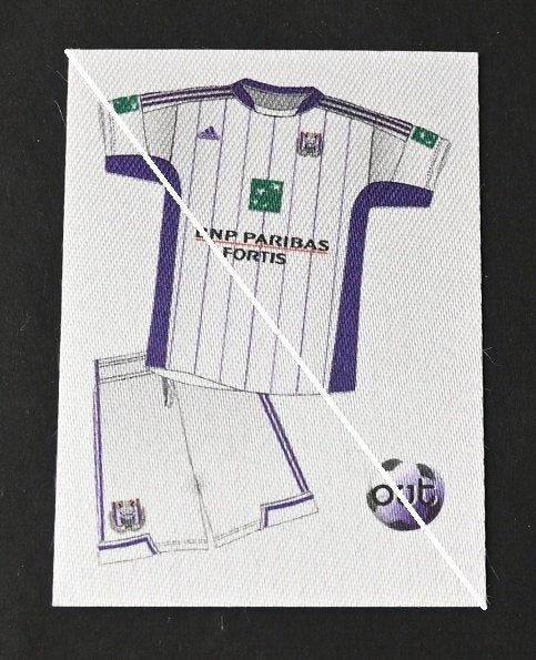 Panini /RSC Anderlecht Football 2013 / Sticker uitrusting, Verzamelen, Verzenden, Nieuw, Poster, Plaatje of Sticker