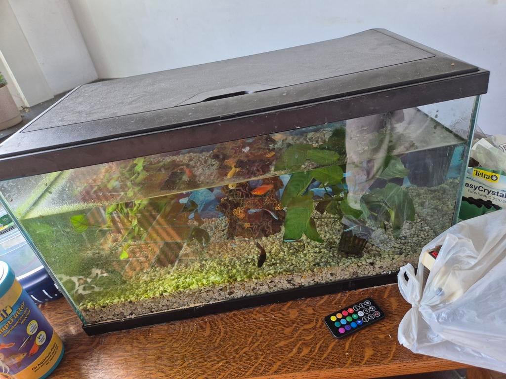 Aquarium met vissen, Ophalen, Filter