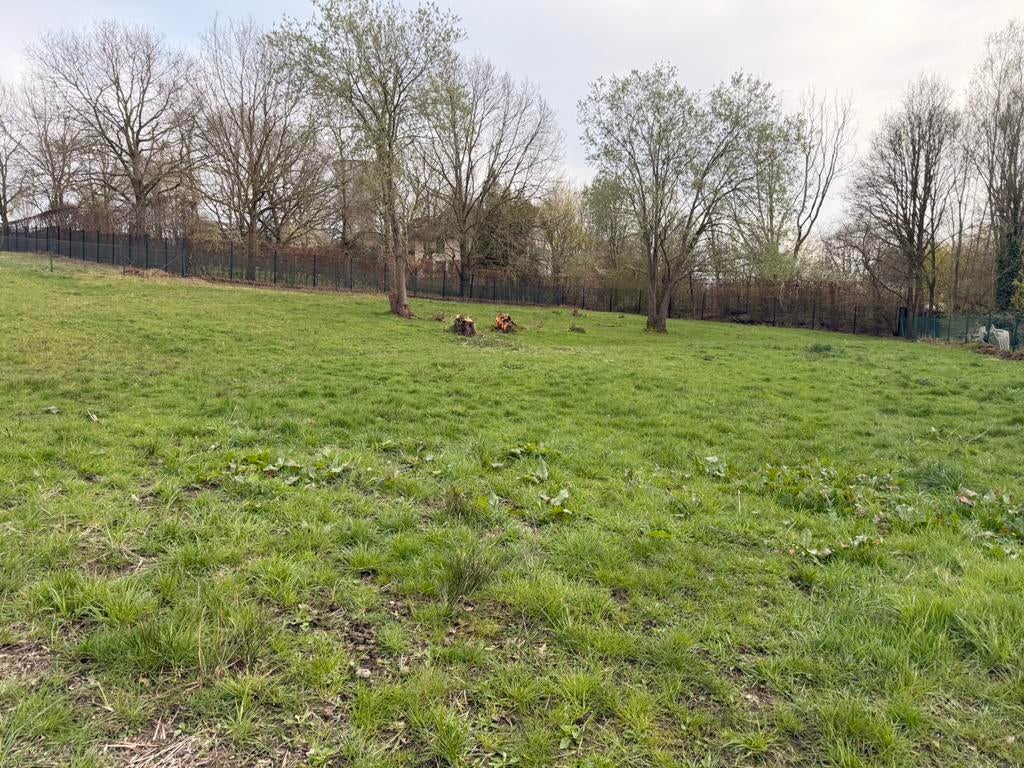 Weidemaatje gezocht voor lieve 25-jarige D-pony, Dieren en Toebehoren, Weidegang, 2 of 3 paarden of pony's