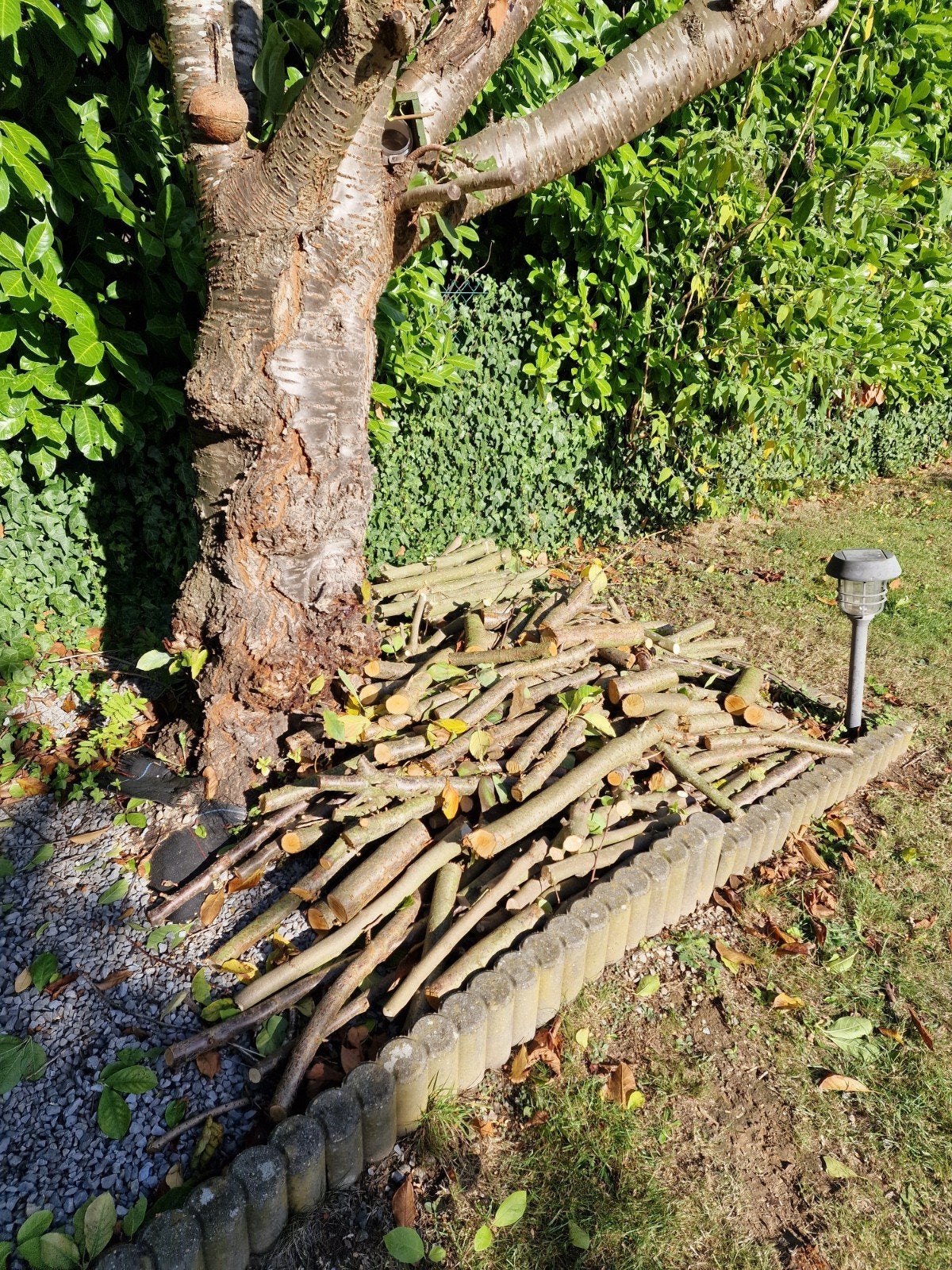 Takken, Tuin en Terras, Ophalen