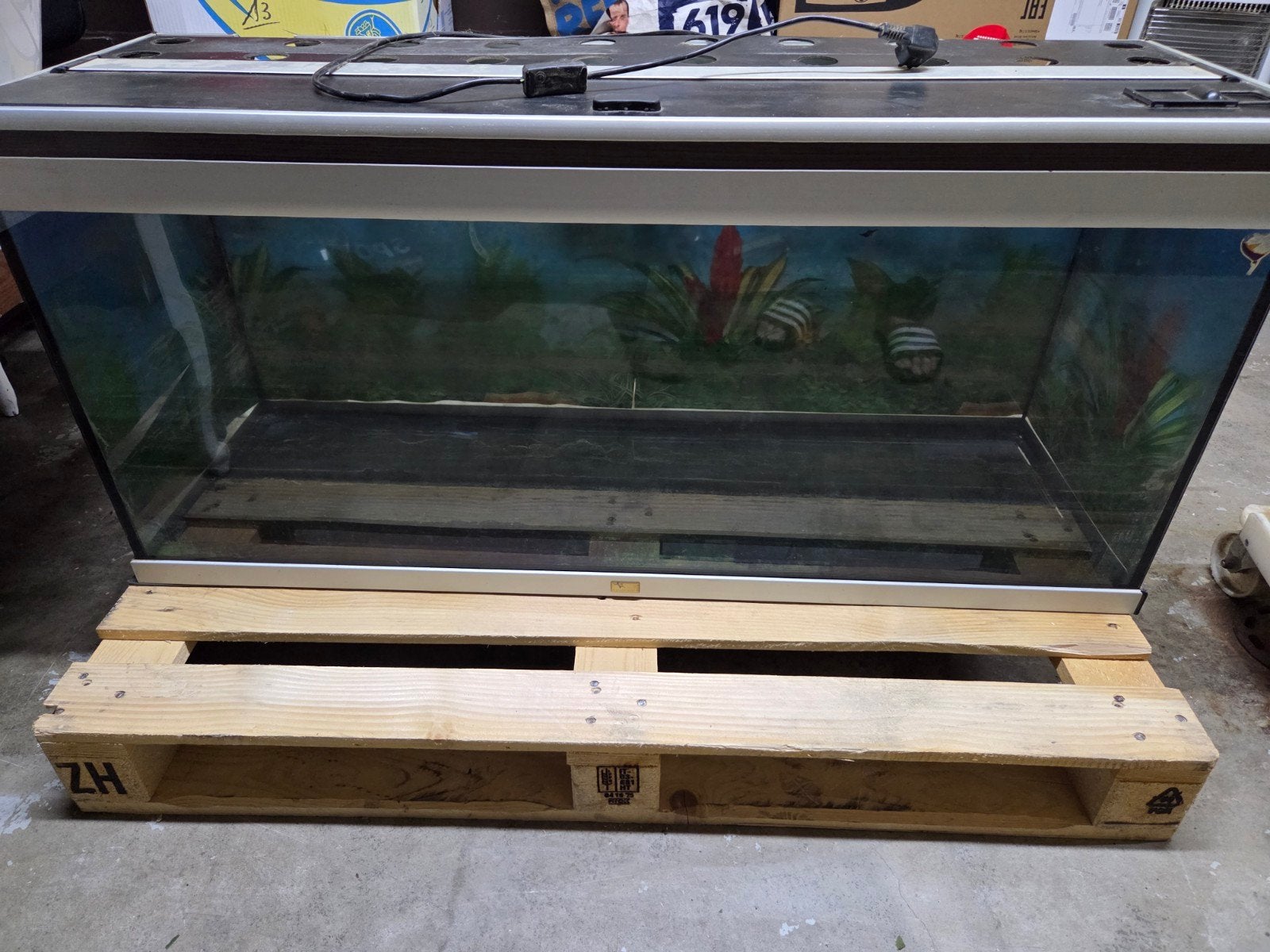 aqualantis 120cm met buitenfilter tetra ex700, Dieren en Toebehoren, Reptielen en Amfibieën | Toebehoren, Ophalen