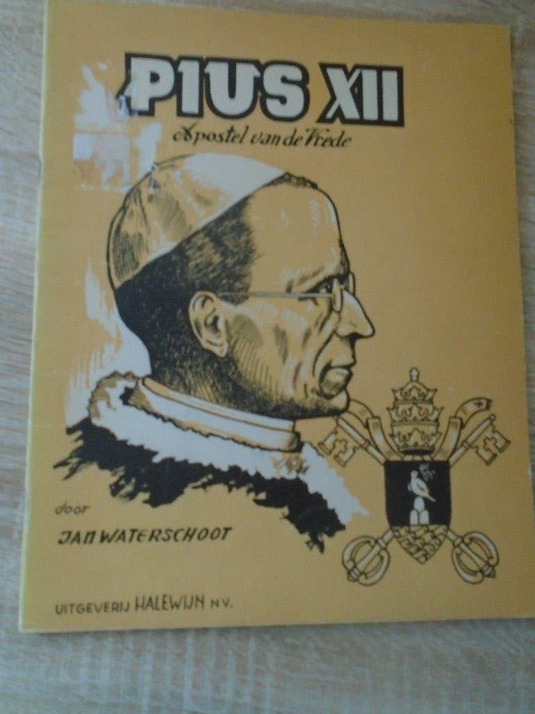 pius XII apostel van de liefde, Boeken, Gelezen, Jan waterschoot, Eén stripboek, Ophalen of Verzenden