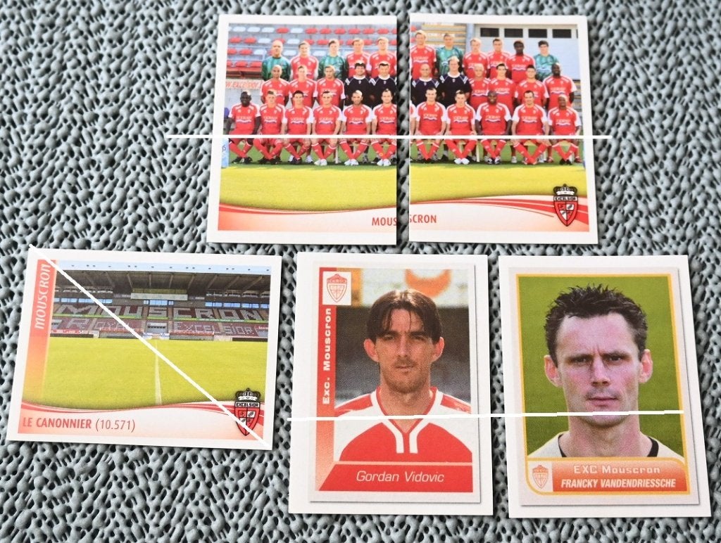 Panini Football 2010 / Moeskroen / 25 stickers, Verzenden, Nieuw, Poster, Plaatje of Sticker